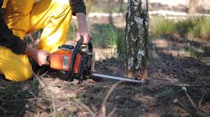 Best Lawn Watering Services  in Marlow, OK