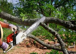 Best Tree and Shrub Care  in Marlow, OK