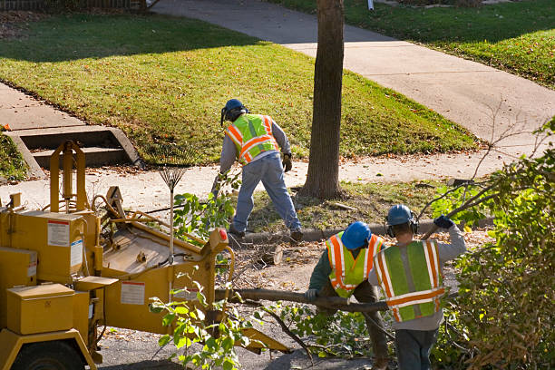 Best Utility Line Clearance  in Marlow, OK