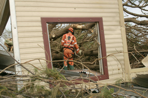 Best Tree Trimming and Pruning  in Marlow, OK